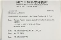 登錄號:F0038593藏品圖，第2張