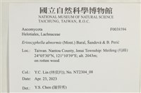 登錄號:F0038594藏品圖，第2張