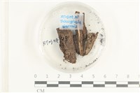 登錄號:F0038594藏品圖，第1張