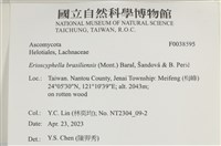 登錄號:F0038595藏品圖，第2張