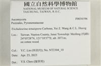 登錄號:F0038596藏品圖，第2張