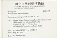 登錄號:F0038597藏品圖，第2張