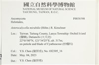 登錄號:F0038598藏品圖，第2張