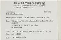 登錄號:F0038599藏品圖，第2張