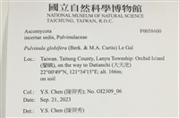 登錄號:F0038600藏品圖，第2張