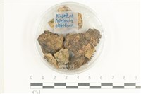 登錄號:F0038600藏品圖，第1張
