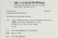 登錄號:F0038601藏品圖，第2張