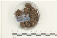 登錄號:F0038601藏品圖，第1張