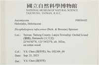 登錄號:F0038602藏品圖，第2張