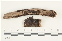 登錄號:F0038602藏品圖，第1張