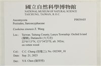 登錄號:F0038603藏品圖，第2張