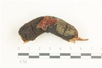 登錄號:F0038603藏品圖，第1張
