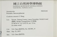 登錄號:F0038604藏品圖，第2張