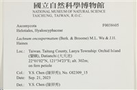 登錄號:F0038605藏品圖，第2張