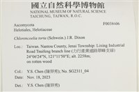 登錄號:F0038606藏品圖，第2張