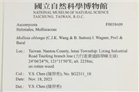 登錄號:F0038609藏品圖，第2張