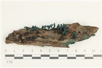 登錄號:F0038611藏品圖，第1張