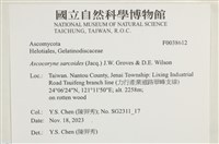 登錄號:F0038612藏品圖，第2張