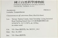 登錄號:F0038613藏品圖，第2張