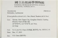 登錄號:F0038614藏品圖，第2張