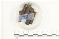 登錄號:F0038614藏品圖，第1張