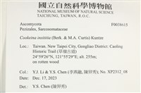 登錄號:F0038615藏品圖，第2張