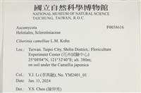 登錄號:F0038616藏品圖，第2張