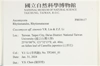 登錄號:F0038617藏品圖，第2張