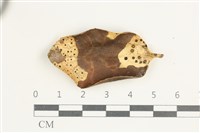 登錄號:F0038617藏品圖，第1張