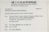 登錄號:F0038619藏品圖，第2張