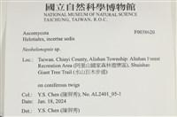 登錄號:F0038620藏品圖，第2張
