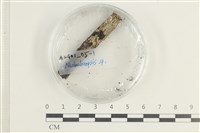 登錄號:F0038620藏品圖，第1張