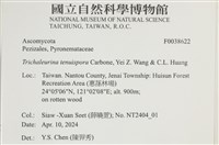 登錄號:F0038622藏品圖，第2張