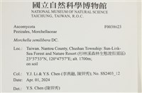 登錄號:F0038623藏品圖，第2張