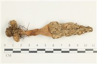 登錄號:F0038623藏品圖，第1張