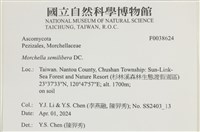 登錄號:F0038624藏品圖，第2張