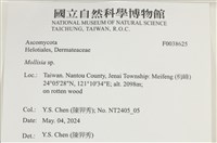登錄號:F0038625藏品圖，第2張