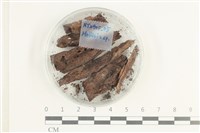 登錄號:F0038625藏品圖，第1張