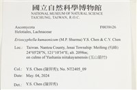 登錄號:F0038626藏品圖，第2張