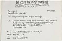 登錄號:F0038628藏品圖，第2張