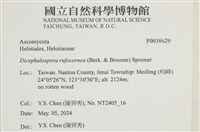 登錄號:F0038629藏品圖，第2張