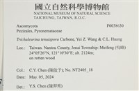 登錄號:F0038630藏品圖，第2張