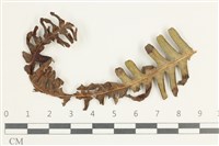 登錄號:F0038633藏品圖，第1張