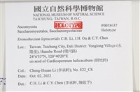 登錄號:F0038637藏品圖，第2張