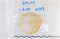 登錄號:F0038637藏品圖，第1張