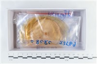 登錄號:F0038637藏品圖，第3張