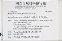 登錄號:F0038638藏品圖，第2張