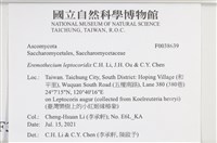 登錄號:F0038639藏品圖，第2張