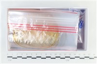 登錄號:F0038639藏品圖，第1張