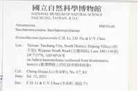 登錄號:F0038640藏品圖，第2張